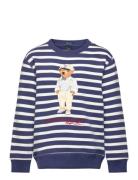Striped Polo Bear Fleece Sweatshirt Tops Sweatshirts & Hoodies Sweatsh...
