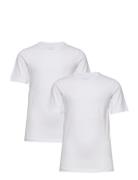 Basic 32 -T-Shirt Ss  Tops T-Kortærmet Skjorte White Minymo