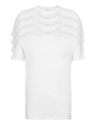 4Pk Basic Tee S/S Tops T-Kortærmet Skjorte White Lindbergh