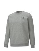 Ess Small Logo Crew Fl Sport Sweatshirts & Hoodies Sweatshirts Grey PU...