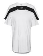 Jjenoa Tee Ss Crew Neck 3Pk Mp Noos Tops T-Kortærmet Skjorte White Jac...