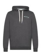 Logo Hoodie Tops Sweatshirts & Hoodies Hoodies Grey Tom Tailor