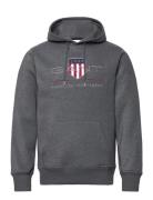 Reg Archive Shield Hoodie Tops Sweatshirts & Hoodies Hoodies Grey GANT