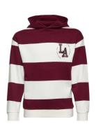 Striped Cotton-Blend Sweatshirt Tops Sweatshirts & Hoodies Hoodies Mul...