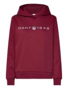 Reg Printed Graphic Hoodie Tops Sweatshirts & Hoodies Hoodies Red GANT