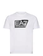 T-Shirt Tops T-Kortærmet Skjorte White EA7