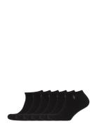 Cushi D Low-Cut-Sock 6-Pack Ankelstrømper Korte Strømper Black Polo Ra...