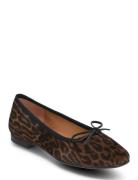 Ballerina Ballerinasko Ballerinaer Brown Billi Bi