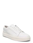 Low Top Lace Up Lth Low-top Sneakers White Calvin Klein