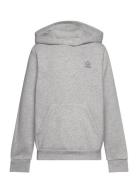 Hoodie Sport Sweatshirts & Hoodies Hoodies Grey Adidas Originals