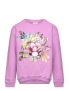 Noomi Collegetröja Tops Sweatshirts & Hoodies Sweatshirts Pink Ma-ia F...