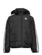 Padded Jacket Foret Jakke Black Adidas Originals