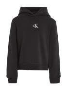 Ck Logo Boxy Hoodie Tops Sweatshirts & Hoodies Hoodies Black Calvin Kl...
