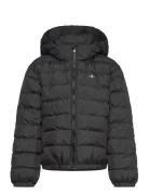 Shield Padded Jacket Foret Jakke Black GANT