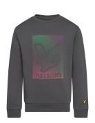 Dotted Eagle Graphic Sweatshirt Tops Sweatshirts & Hoodies Sweatshirts...