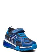 J Bayonyc Boy A Low-top Sneakers Blue GEOX