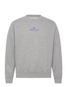 Jumper Regular Tops Sweatshirts & Hoodies Sweatshirts Grey Replay