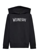 Nlfsille Wednesday Sweat Wh Bru Sky Tops Sweatshirts & Hoodies Hoodies...