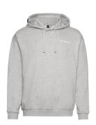 Tx Logo Hoody Sport Sweatshirts & Hoodies Hoodies Grey Adidas Terrex