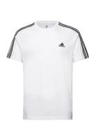 M 3S Sj T Sport T-Kortærmet Skjorte White Adidas Sportswear