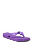 Hav Top Shoes Summer Shoes Sandals Flip Flops Purple Havaianas