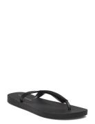 Sandal Shoes Summer Shoes Sandals Flip Flops Black Sofie Schnoor