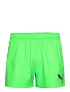 Puma Swim Men Short Shorts 1P Sport Shorts Green Puma Swim