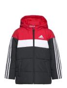 Padded Jacket Kids Sport Jackets & Coats Puffer & Padded Red Adidas Sp...