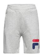 Bajawa Sport Shorts Grey FILA