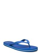 Orlando Flipflop Shoes Summer Shoes Sandals Flip Flops Blue Lexington ...