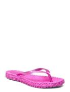 Flip Flop With Logo Shoes Summer Shoes Sandals Flip Flops Pink Ilse Ja...