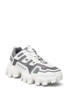 Prize-K Sneaker Low-top Sneakers Grey Steve Madden