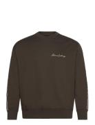 Sweatshirt Tops Sweatshirts & Hoodies Sweatshirts Brown Armani Exchang...