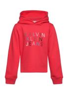 Colour Logo Fleece Hoodie Tops Sweatshirts & Hoodies Hoodies Red Calvi...