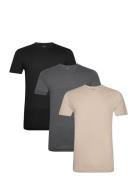 Slim Crewneck 3-Pack Tops T-Kortærmet Skjorte Multi/patterned Polo Ral...