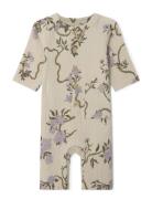 Prune Green Muslin Sie Bodysuits Short-sleeved Beige Garbo&Friends