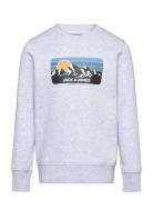 Jjpeak Sweat Crew Neck Jnr Tops Sweatshirts & Hoodies Sweatshirts Grey...