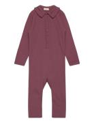 Romper Ls Rib Langærmet Body Burgundy Fixoni