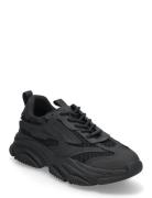 Possess Sneaker Low-top Sneakers Black Steve Madden