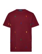 Polo Pony Cotton Mesh Tee Tops T-Kortærmet Skjorte Burgundy Ralph Laur...