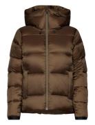 W Cloud Down Hood Sport Jackets Padded Jacket Brown Sail Racing