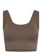 Soft Rib Seamless Crop Top Sport Bras & Tops Sports Bras - All Brown M...