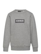 Chamois Sweatshirt Tops Sweatshirts & Hoodies Sweatshirts Grey Napapij...