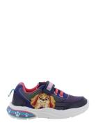 Paw Patrol Sneaker Low-top Sneakers Navy Paw Patrol