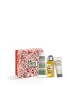 Almond Sweet Gift 2024 Hudplejesæt Nude L'Occitane