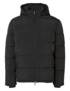 Slhcooper Puffer Jkt Noos Foret Jakke Black Selected Homme