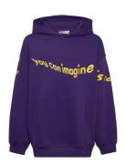 Maxx Tops Sweatshirts & Hoodies Hoodies Purple Molo