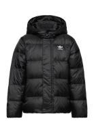 Down Jacket Elo Foret Jakke Black Adidas Originals