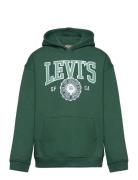 Levi's® Sporty Pullover Hoodie Tops Sweatshirts & Hoodies Hoodies Gree...