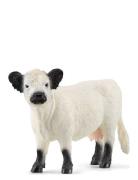 Schleich Galloway Cow Toys Playsets & Action Figures Animals Multi/pat...